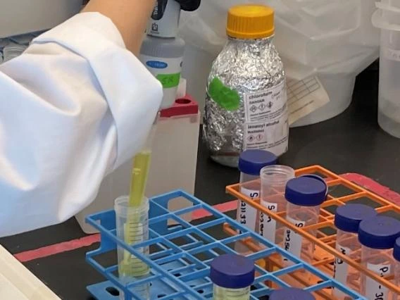 DNA extraction by an AGI scientist
