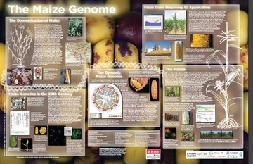 Sorry, no alternate text available