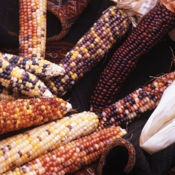 Sorry, no alternate text available