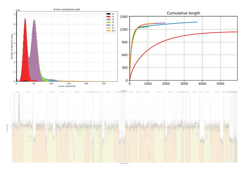 Bioinformatics