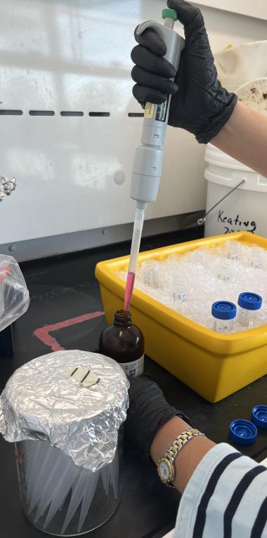An AGI Scientist adding TRIzol to samples as part of our RNA Extraction process Picture of an AGI Scientist adding TRIzol to samples as part of our RNA Extraction process